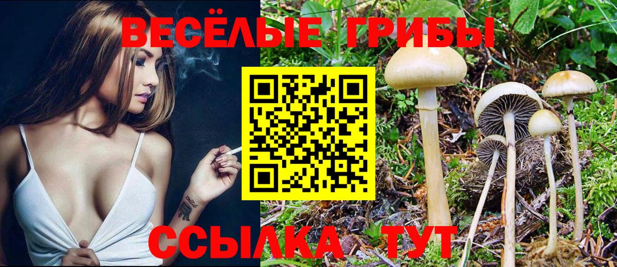 Псилоцибиновые грибы мицелий Кунгур