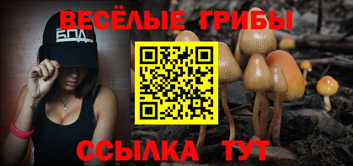 Галлюциногенные грибы MAGIC MUSHROOMS  Вход с VPN  Кунгур 